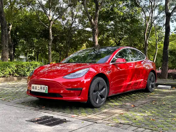 Tesla Model 3 2020