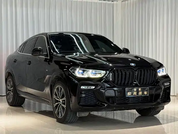 BMW X6 2022