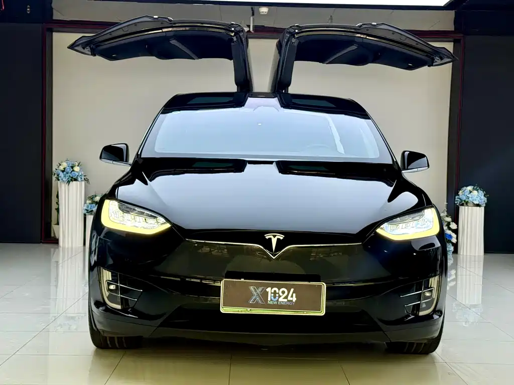 Tesla Model X 2019 — фото 2