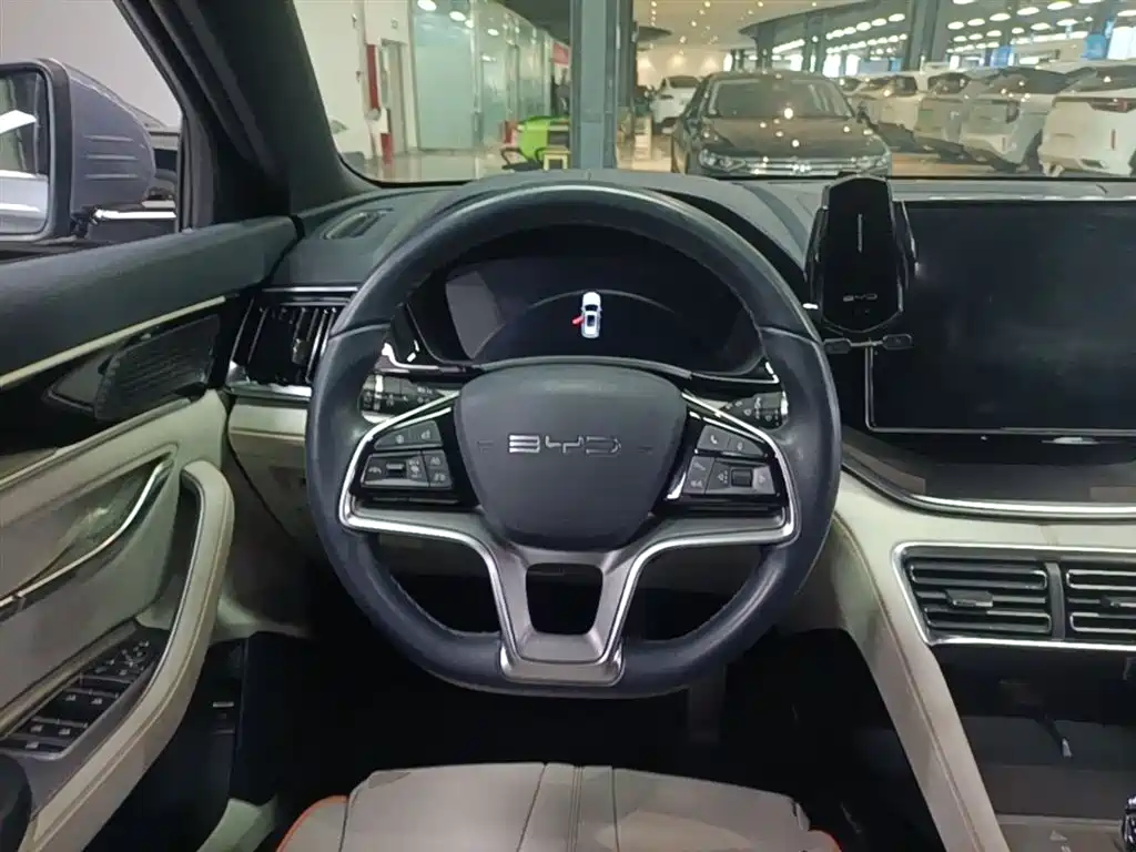 BYD PLUS New Energy 2024 — фото 11
