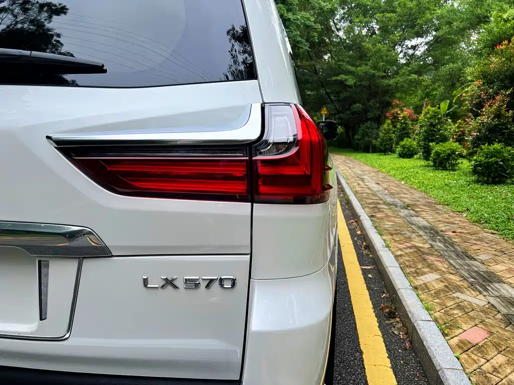 Lexus LX 2019 — фото 16
