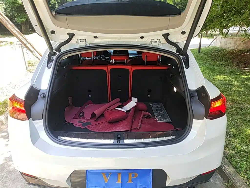 BMW X2 2022 — фото 19