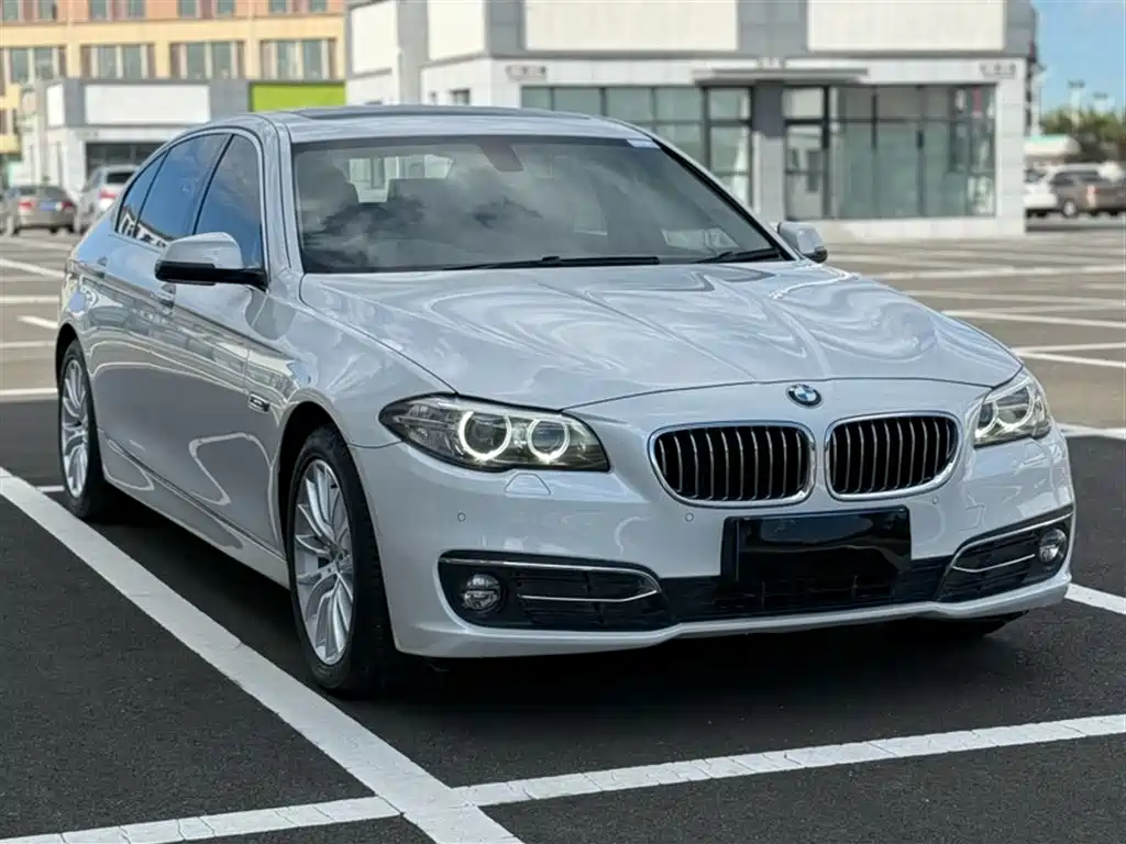 BMW 5 Series 2017 — фото 4