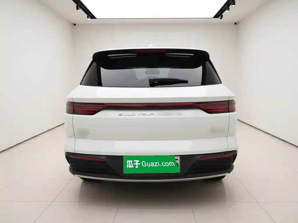 BYD Pro New Energy 2023 — фото 4