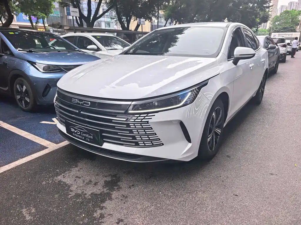 BYD Destroyer 05 2024 — фото 1