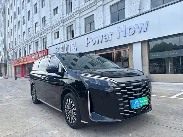 BYD Summer 2025