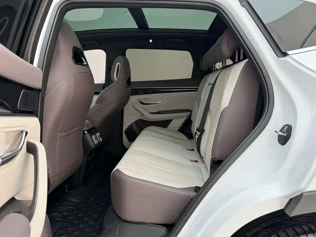BYD Song PLUS New Energy 2025 — фото 18