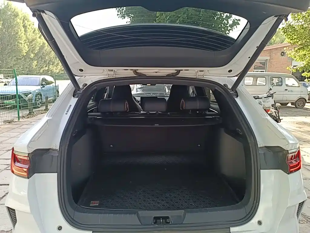 BYD PLUS New Energy 2022 — фото 19