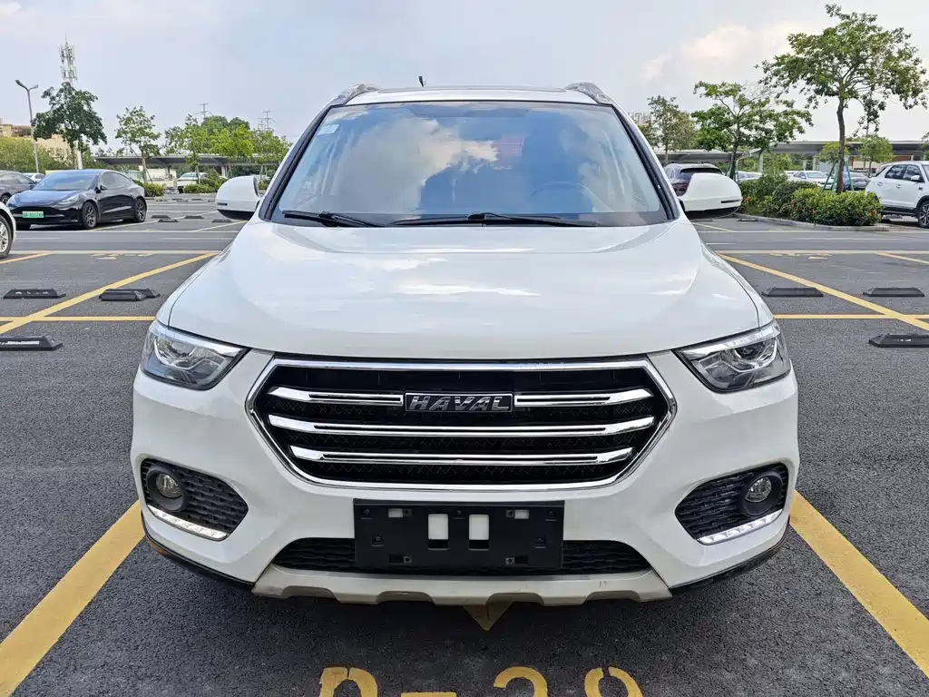 Haval H6 2019 — фото 2