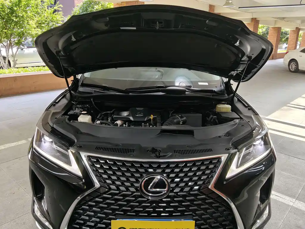 Lexus RX 2020 — фото 22