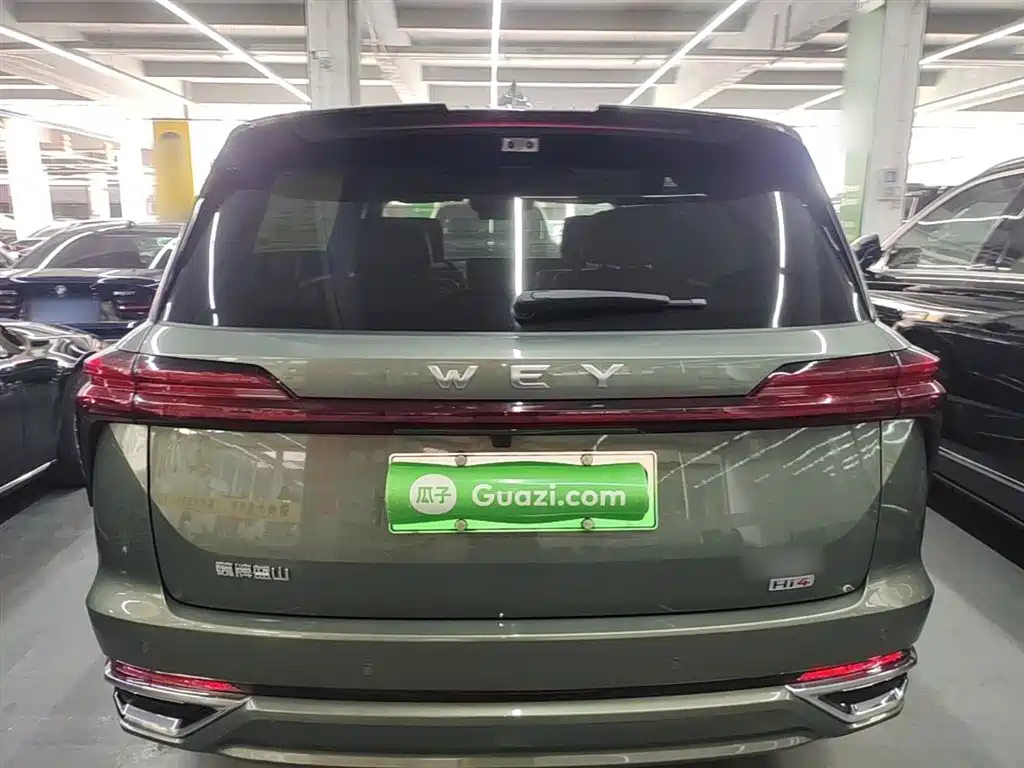 Wey Lanshan 2024 — фото 6