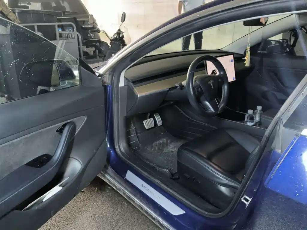 Tesla Model 3 2019