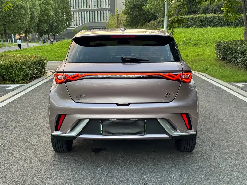 BYD Dolphin 2024