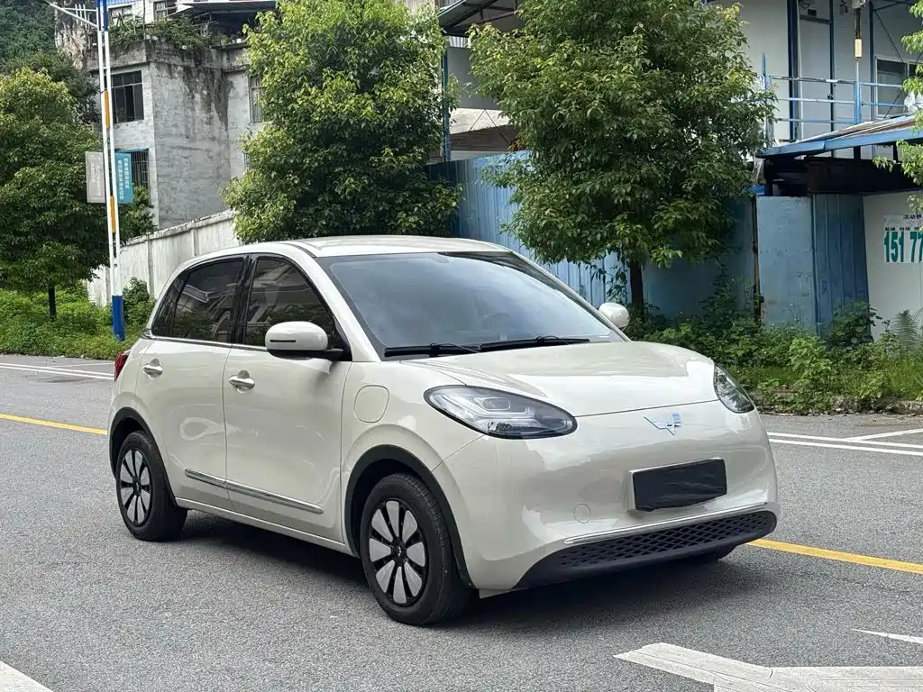 Wuling Bingo 2025