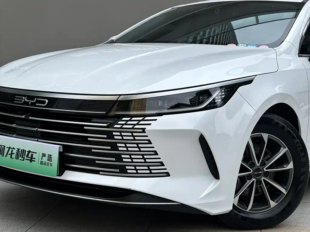 BYD Destroyer 05 2024 — фото 17