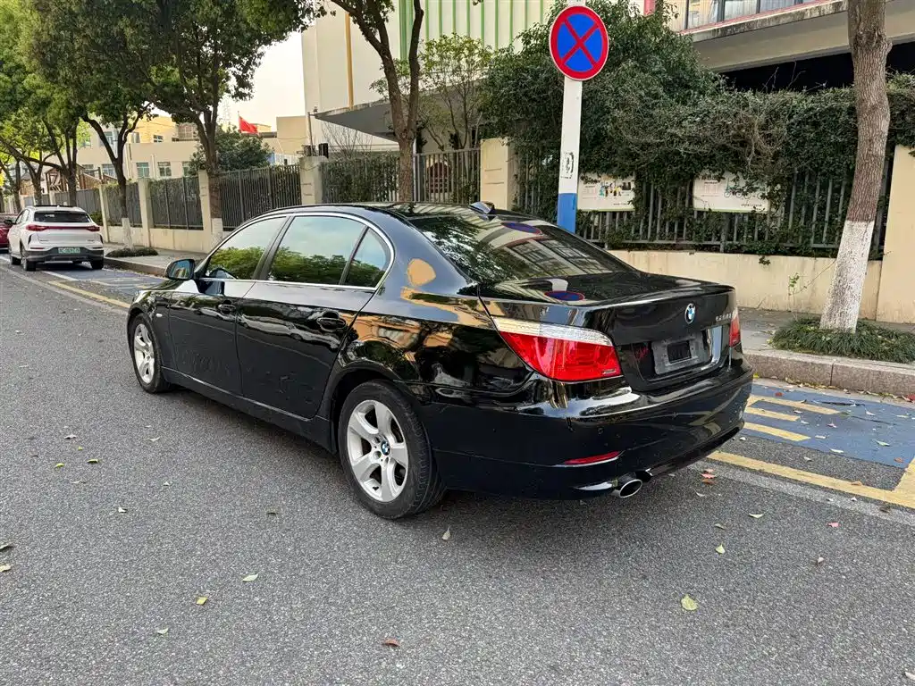 BMW 5 Series 2010