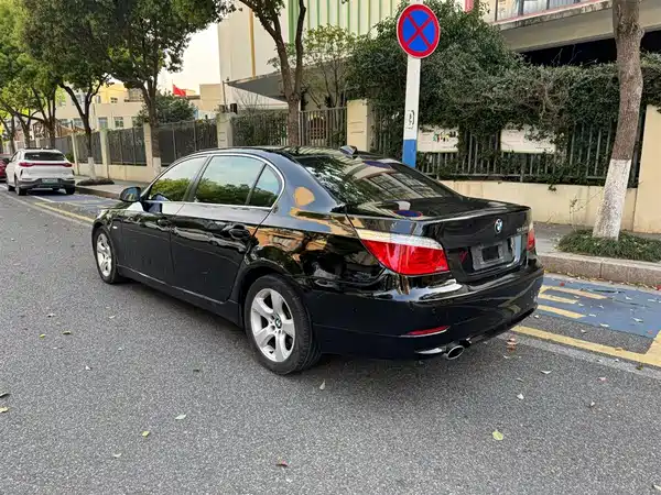 BMW 5 Series 2010