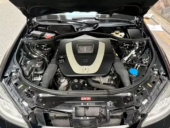 Mercedes-Benz S-Class 2010