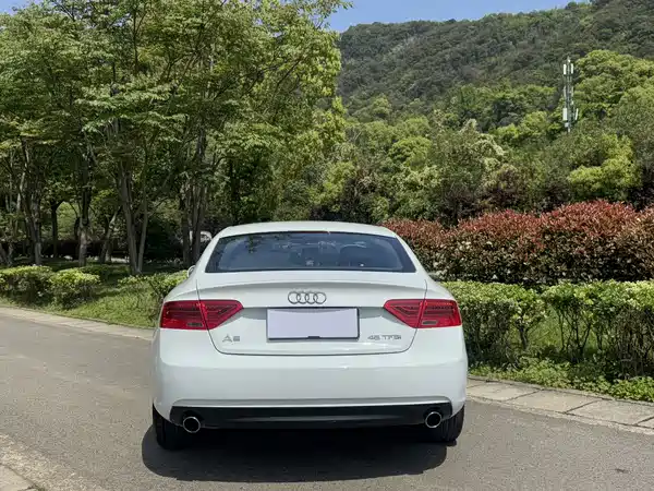 Audi A5 2014