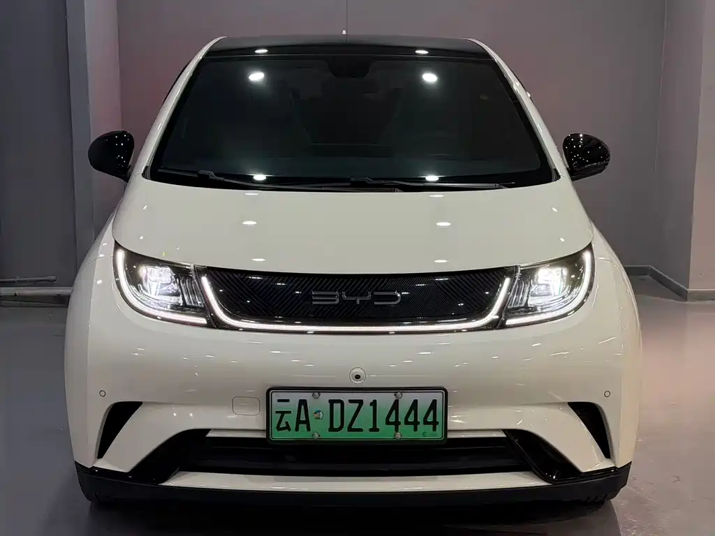 BYD Dolphin 2023
