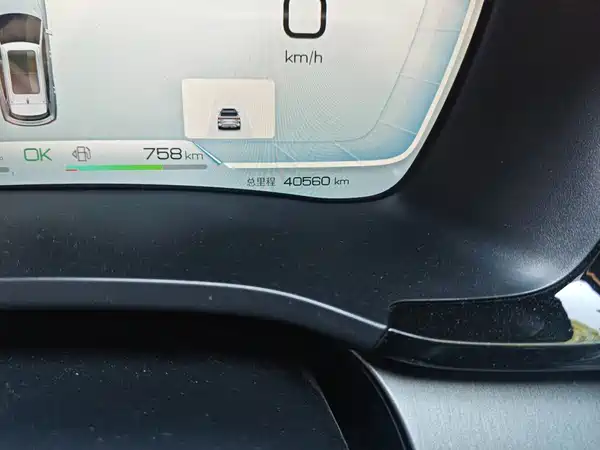 BYD Song PLUS New Energy 2024