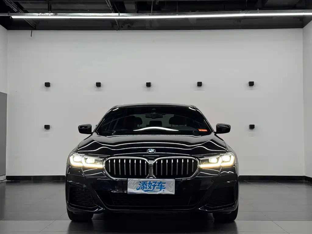 BMW 5 Series 2021