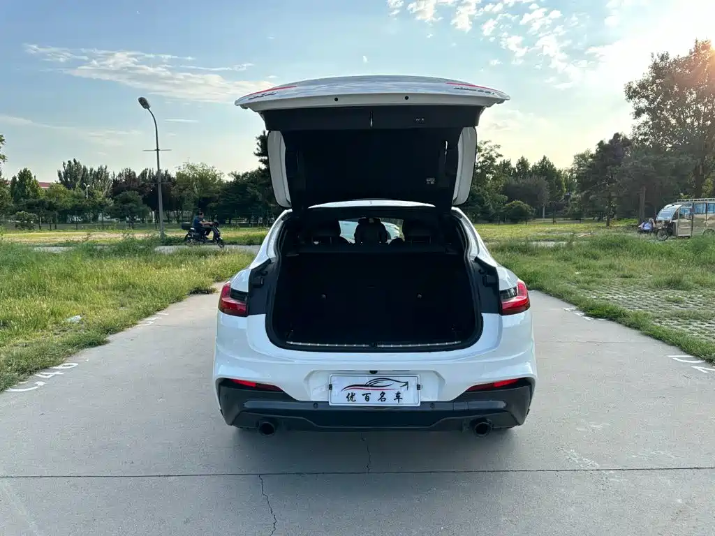 BMW X4 2021 — фото 8