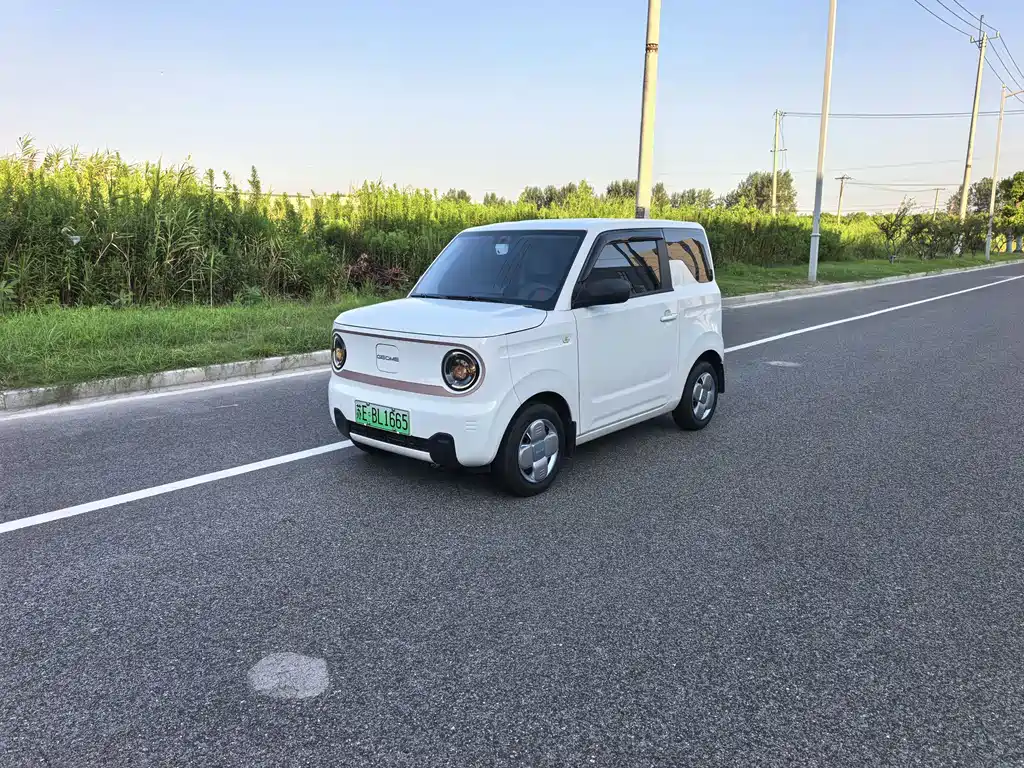 Geely Galaxy Panda 2025