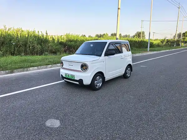 Geely Galaxy Panda 2025