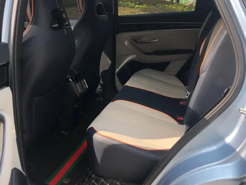 BYD PLUS New Energy 2023 — фото 15