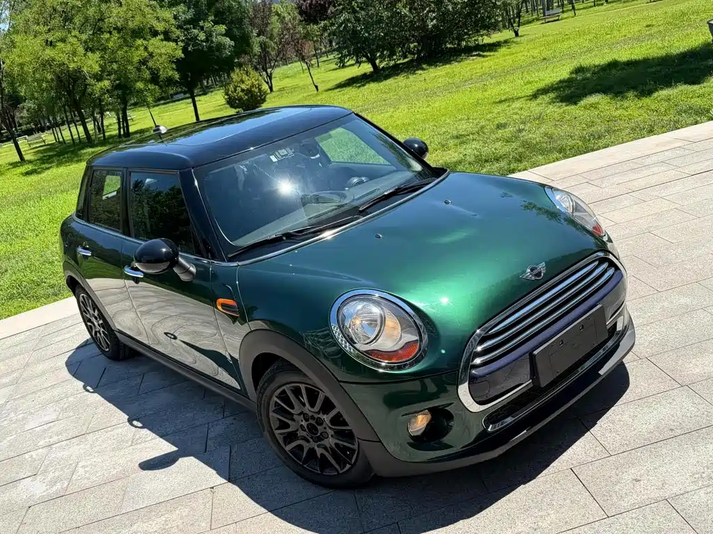 MINI MINI 2017