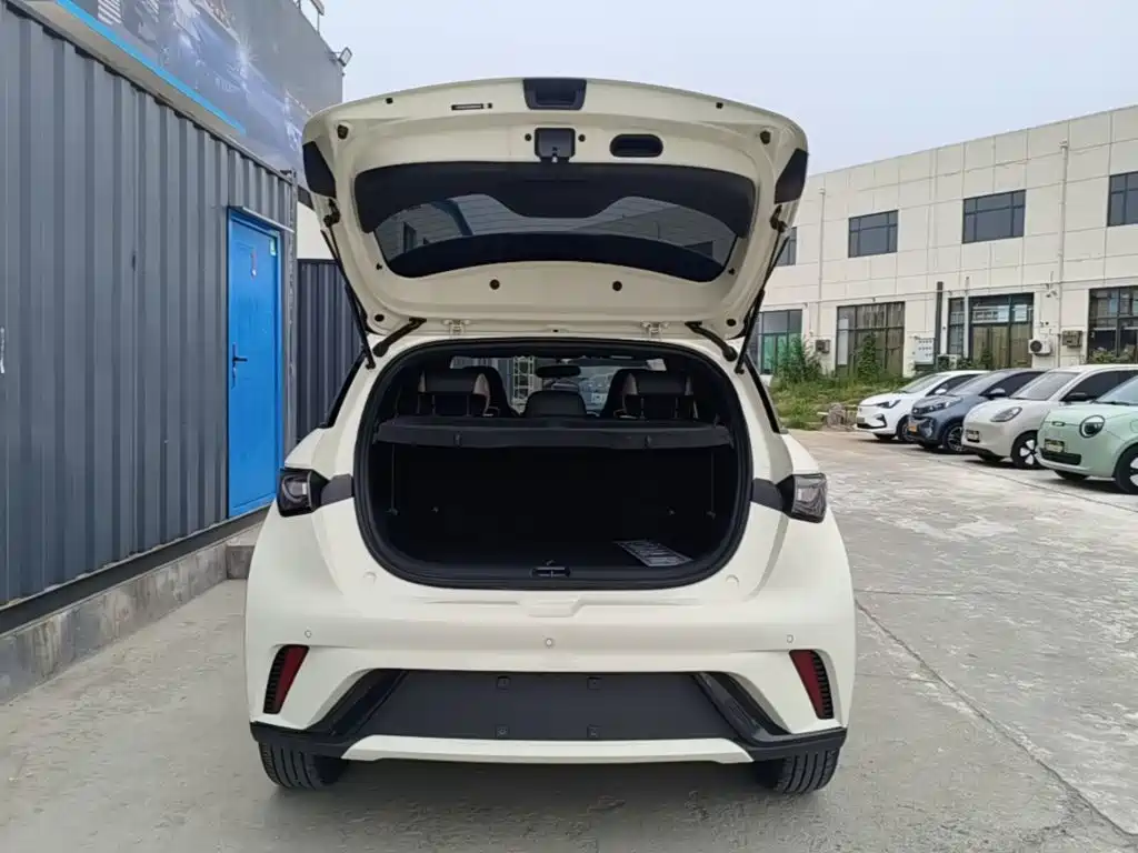 BYD Dolphin 2025 — фото 19