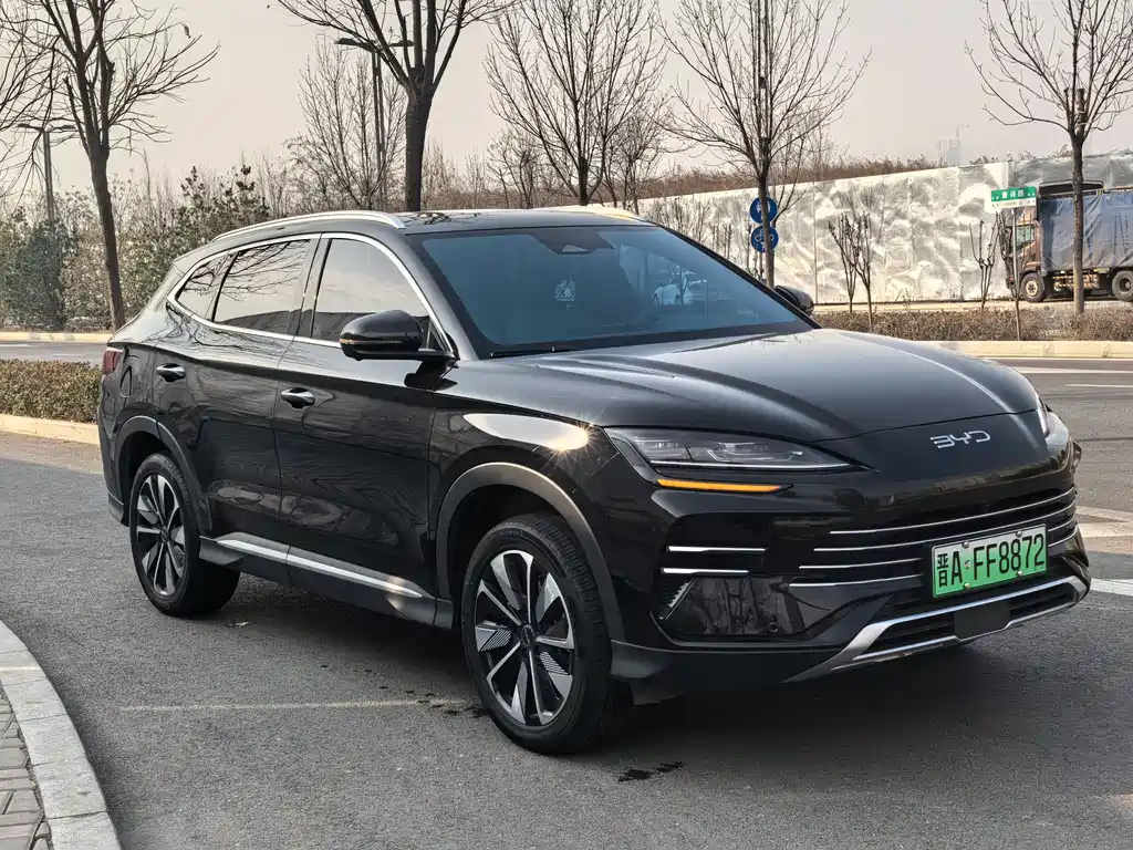 BYD PLUS New Energy 2025 — фото 3