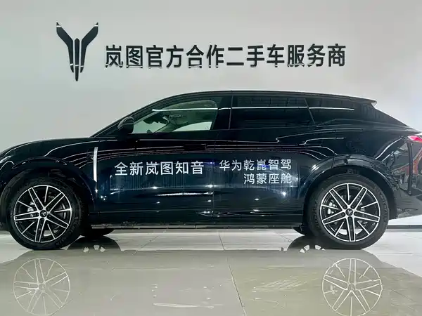 Voyah Zhiyin 2025