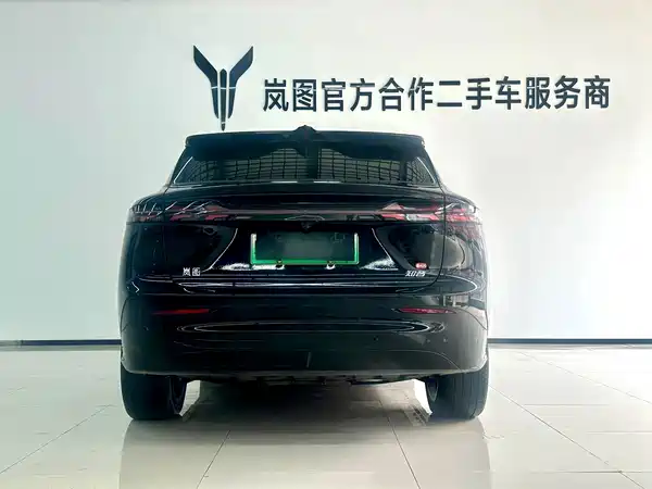 Voyah Zhiyin 2025