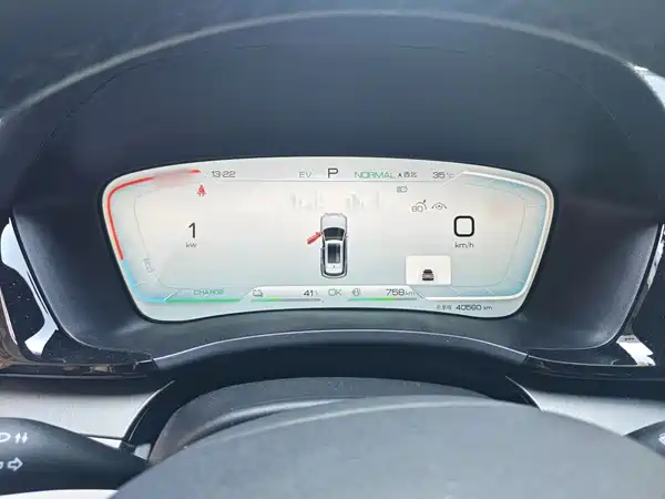 BYD Song PLUS New Energy 2024