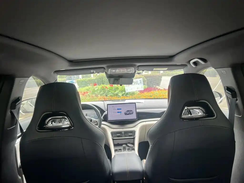 BYD Song PLUS New Energy 2024 — фото 16