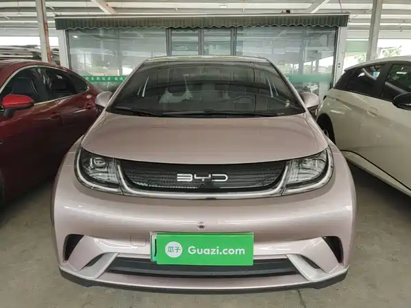 BYD Dolphin 2024