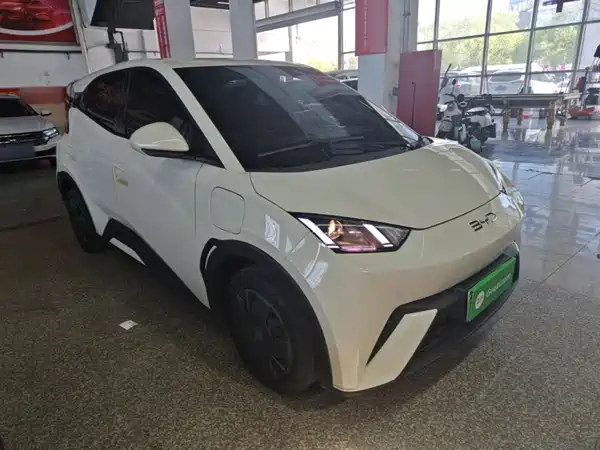 BYD Seagull 2024