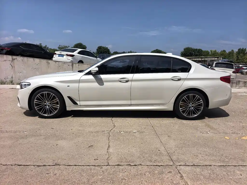 BMW 5 Series 2019