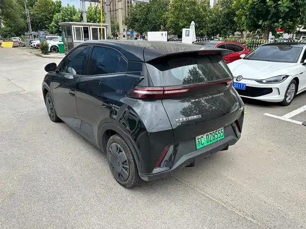 BYD Seagull 2024