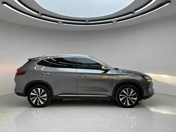 BYD Song PLUS New Energy 2024
