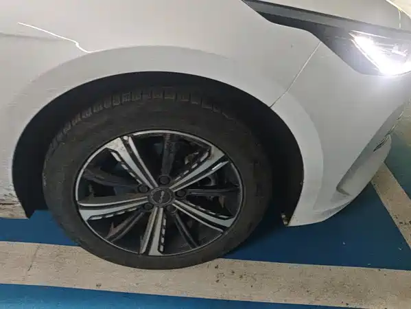 BYD Destroyer 05 2024