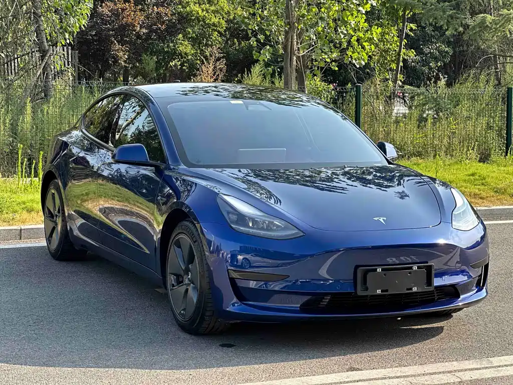 Tesla Model 3 2021 — фото 3