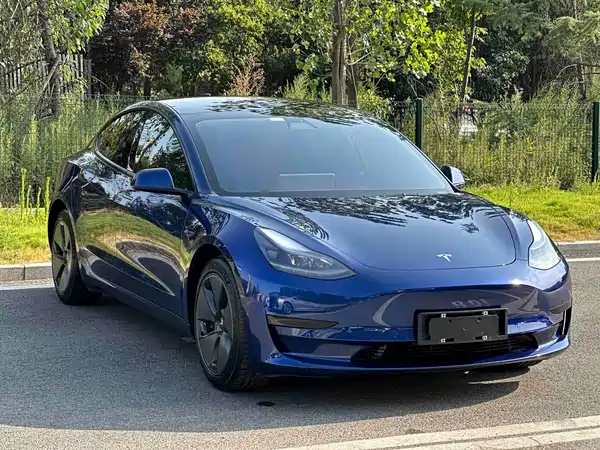 Tesla Model 3 2021