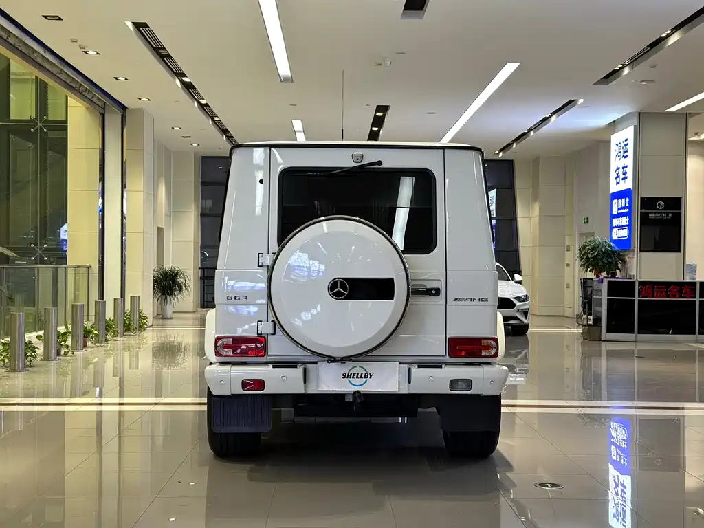 Mercedes-Benz G-Class AMG 2014 — фото 12