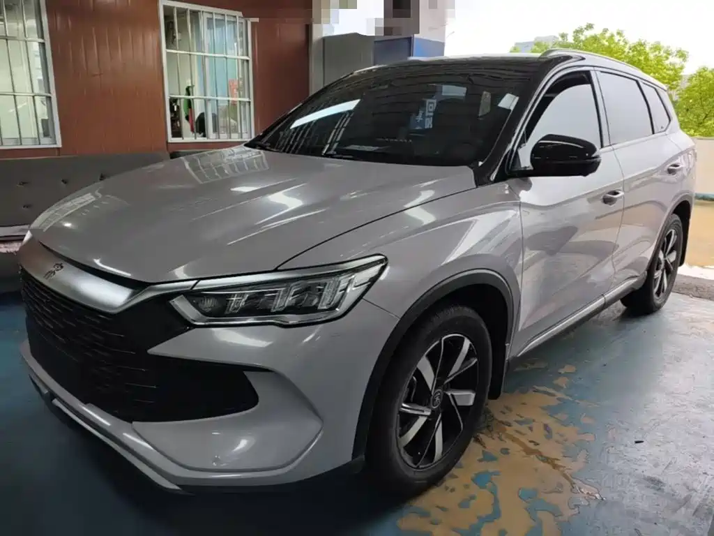 BYD Pro New Energy 2024