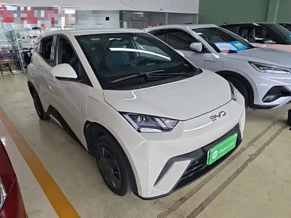 BYD Seagull 2024