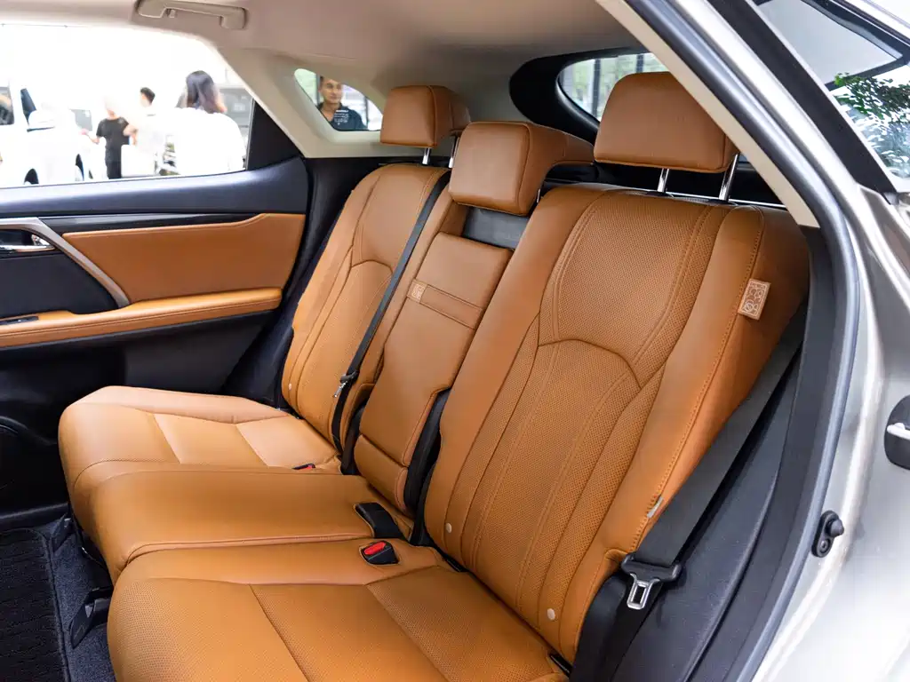 Lexus RX 2020 — фото 12