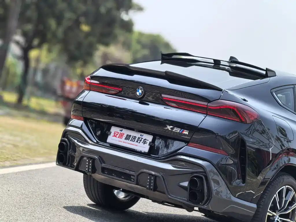 BMW X6 2022